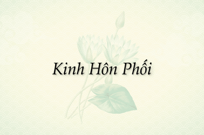 Kinh Hôn Phối